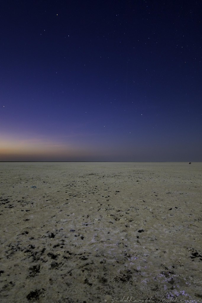 201801260I7A1191 The Great White Desert of Kutch At Sun… Flickr