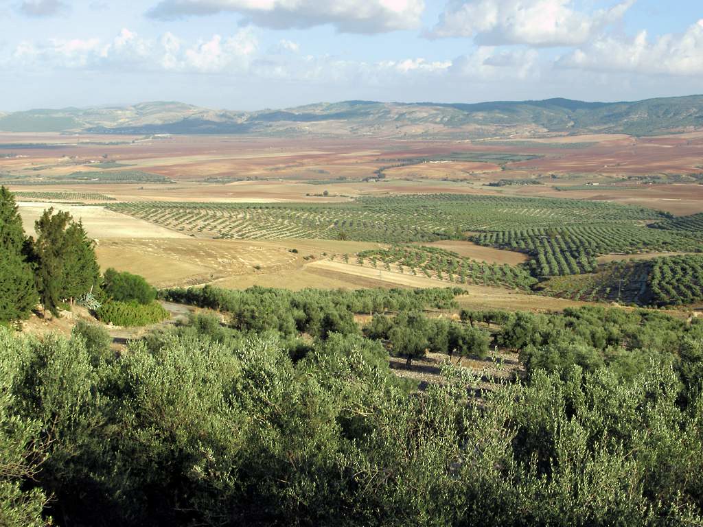 Fertile Plain The Roman archaeological site at Dougga, Tun… Flickr