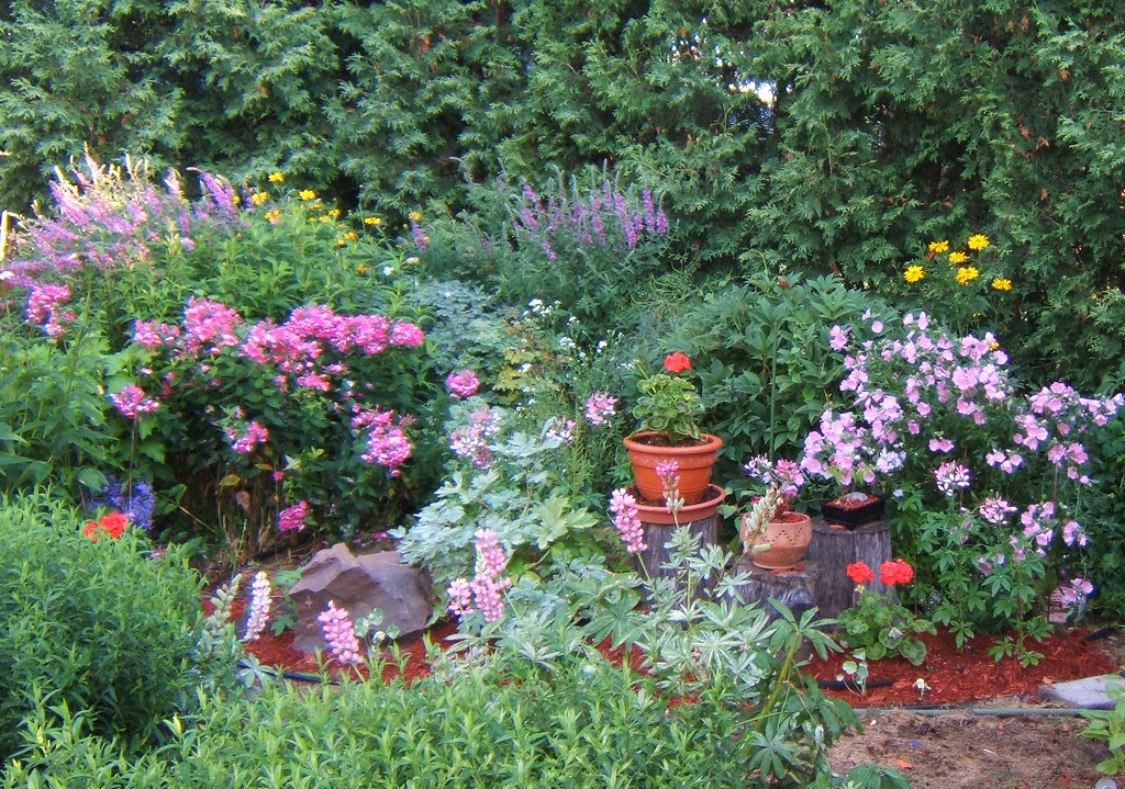 20050715 Grand jardin, section du fond nordouest, Saint