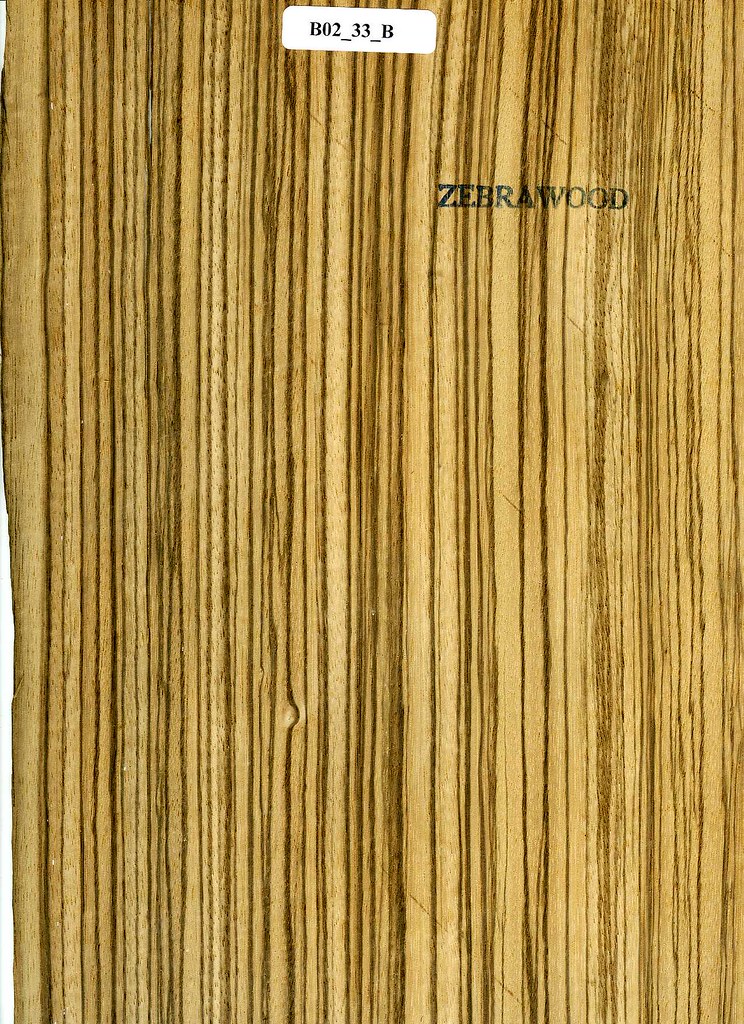 Zebrawood_02_315sqin Carl Eidbo Flickr