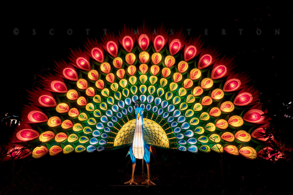 Chinese Lanterns UK, Scotland, Edinburgh Zoo, Chinese Lant… Flickr