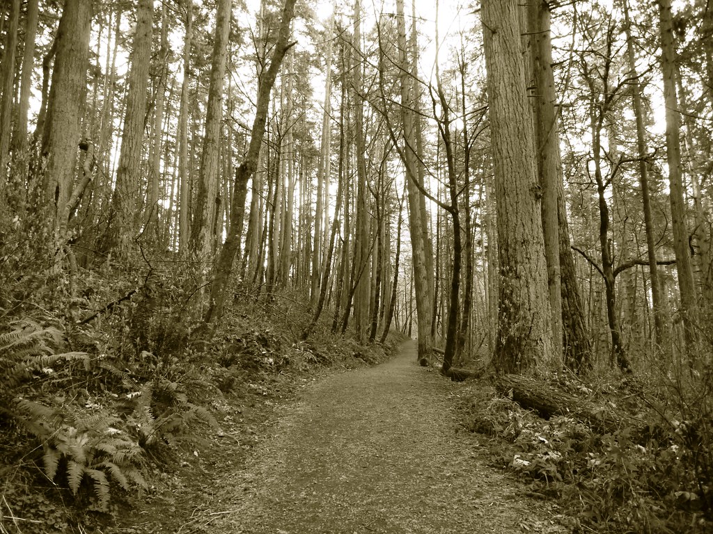 Hendricks Park in Eugene, Oregon Hendricks Park is the old… Flickr