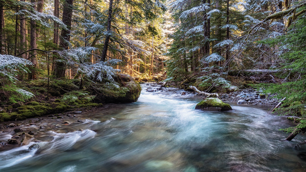 Therapy Matthew Lewis Flickr