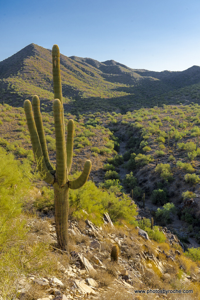 Elevation of Hidden Hills, Scottsdale, AZ, USA Topographic Map
