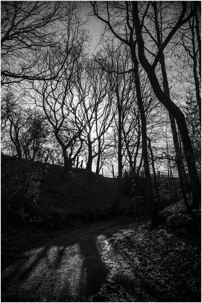 Pendlebury Lane, Haigh, Wigan Pitheadgear Flickr