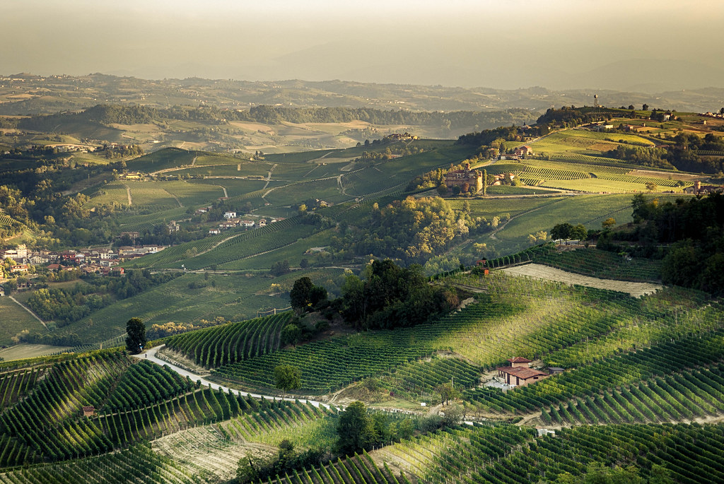 Barollo wine country Belvedere di La Morra, Langhe valley.… Dean