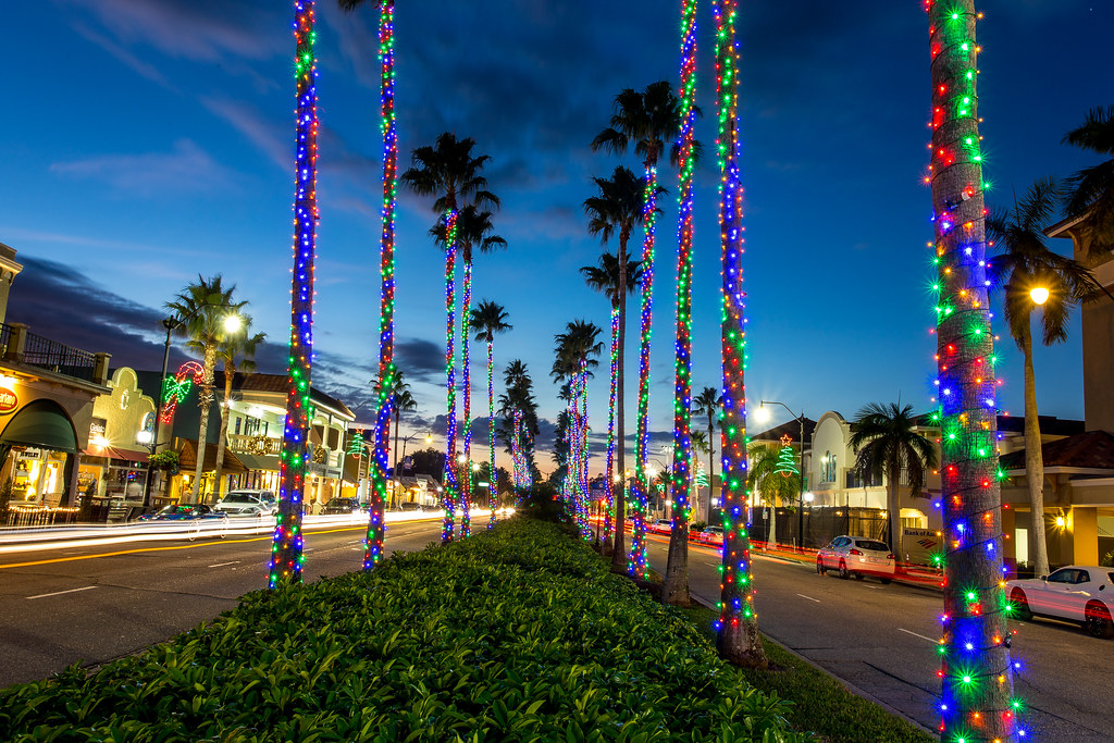 Downtown Venice Florida Christmas lights on palm trees. It… Flickr