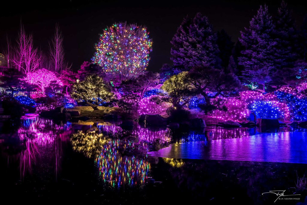 Blossoms of light 5954 Denver Botanic Gardens Blossoms o… Flickr
