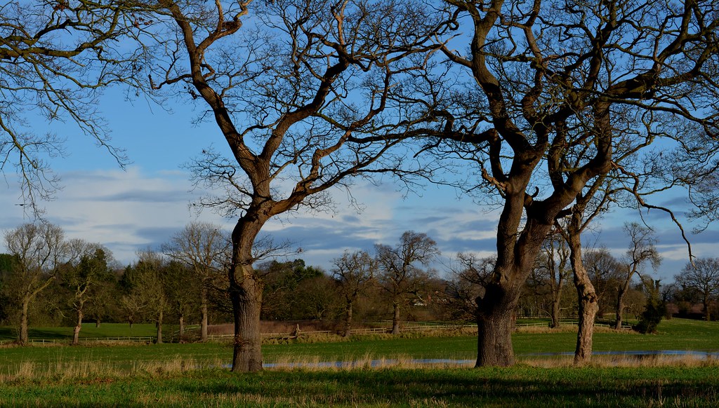 The Farm Boxing Day.....New Toy 2017 The Farm Boxing Day..… Flickr