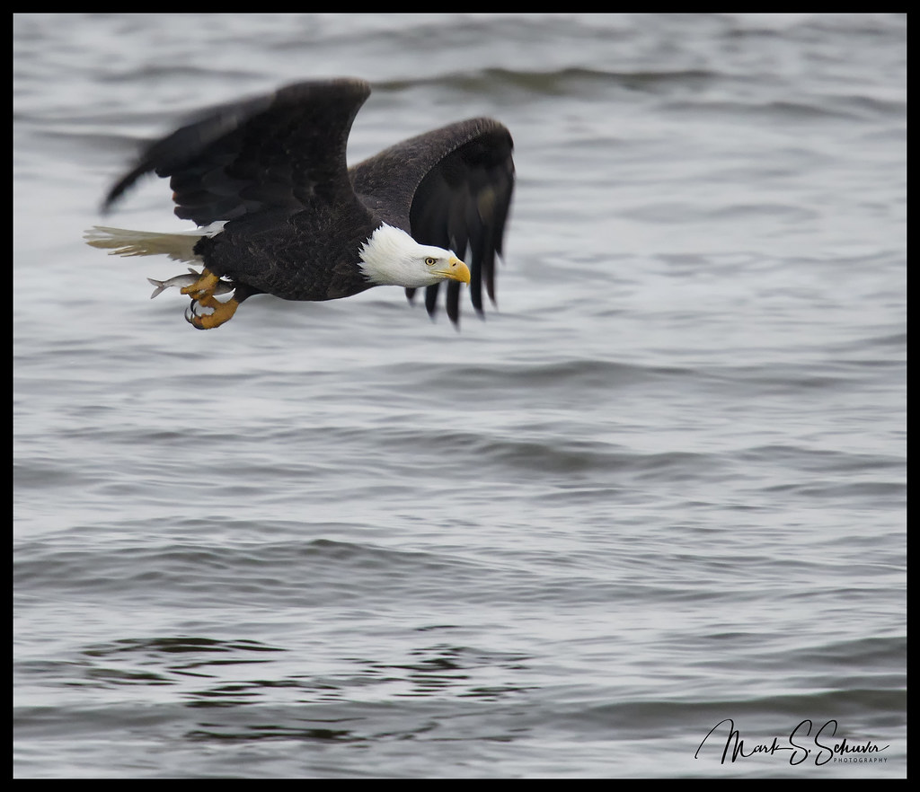 Elevation of Pike, Clarksville, MO, USA Topographic Map Altitude Map