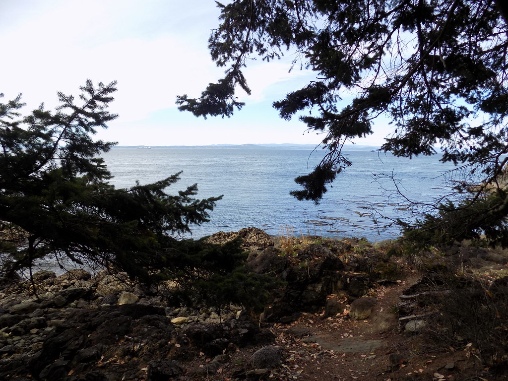 Lime Kiln State Park B (12) John Newsom Flickr