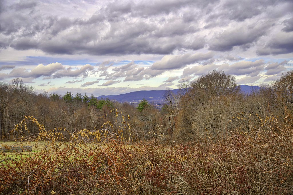 Elevation of Ball Mountain Road, Ball Mountain Rd, Arlington, VT, USA