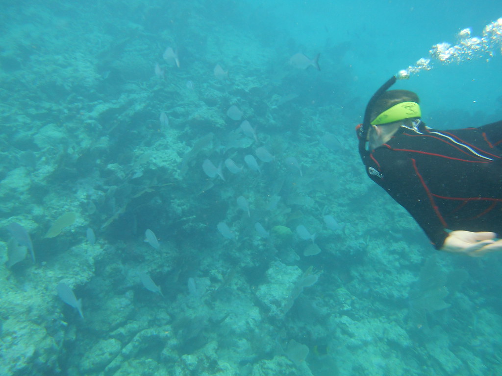 Snorkel Scuba City Washington Wreck Explore N N Dry Rocks … Flickr