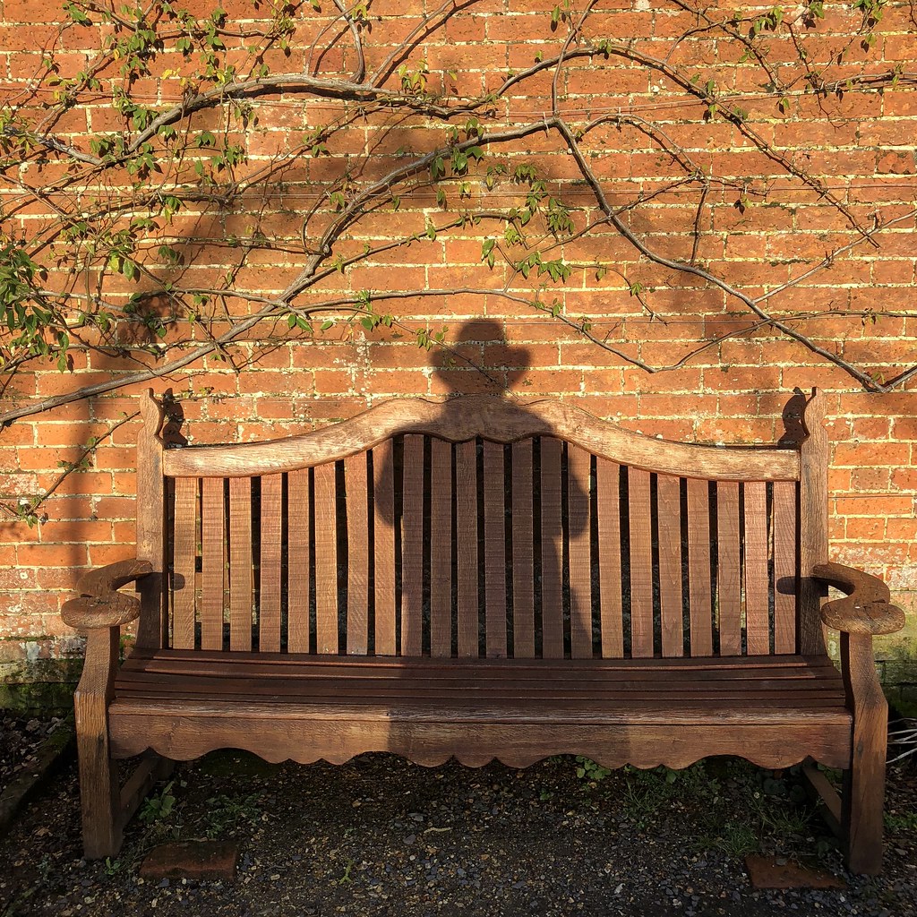The Shadow in the Garden Lex McKee Flickr