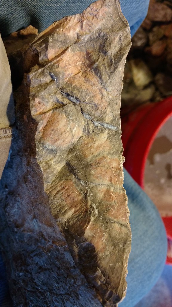 IMG_20180122_171739255 Paul Clifford Flickr