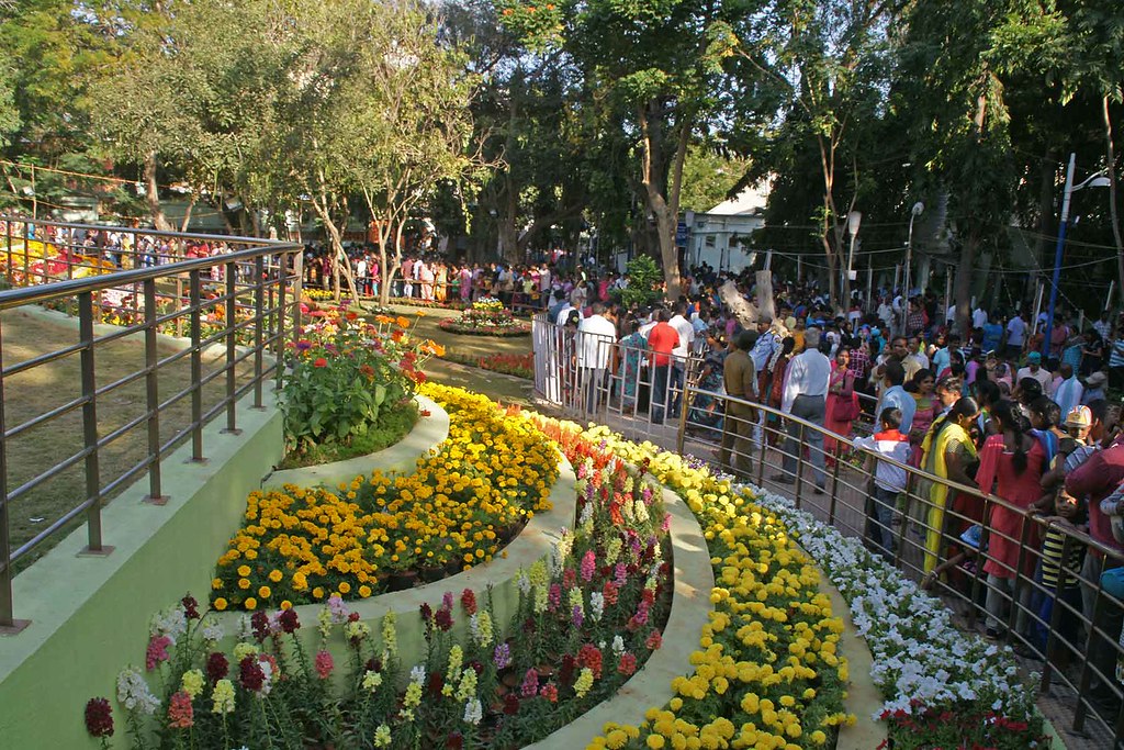 Pondicherry flower show 2018 Flickr