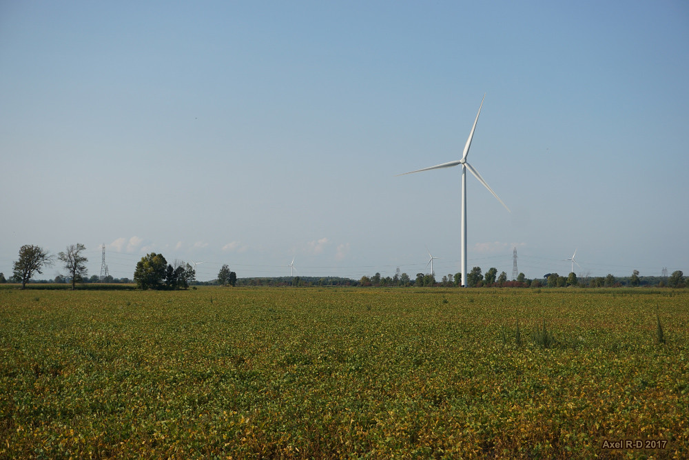 Wind farm Brinston, ON Axel Drainville Flickr