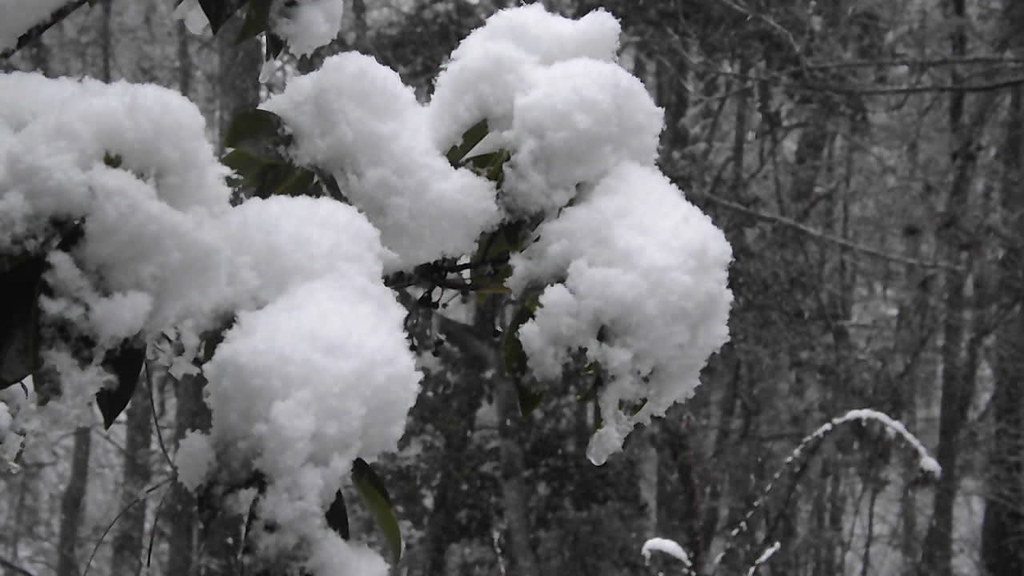 Video It's snowing hard North Carolina and my Mountain La… Flickr