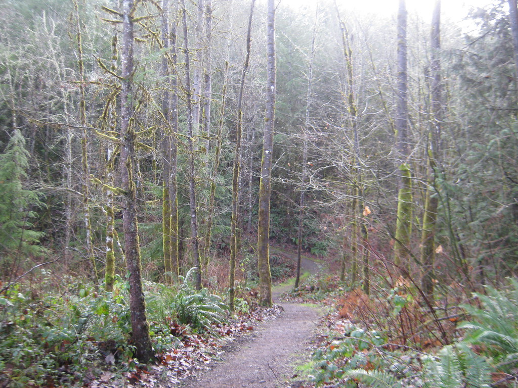 Carnation Trail Maintenance/Fuels Reduction Flickr