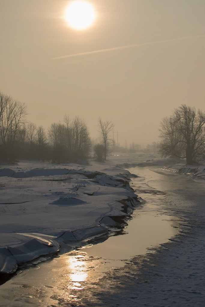 Winter Fog The Hullett Provincial Wildlife Area Conrad Kuiper Flickr