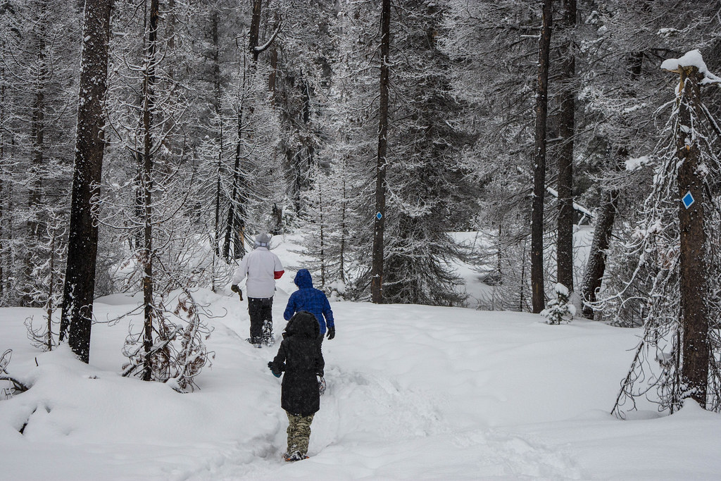 Snowshoeing in Idaho City, ID Flickr