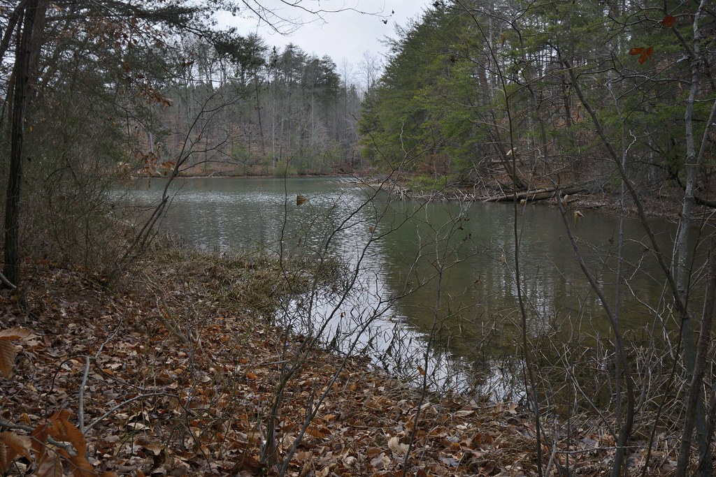 Belews Lake. Jim Babb Flickr