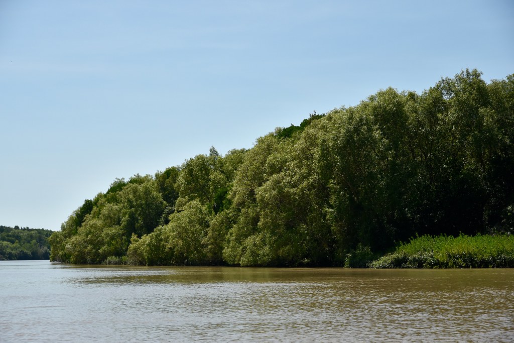 Adelaide River Cruises (NT, Australia) wattie Flickr