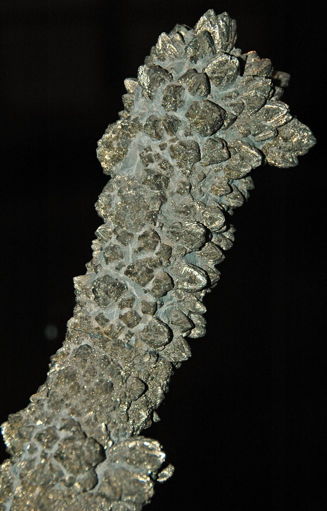 Pyrite (Ross County, Ohio, USA) 3 Pyrite concretion from t… Flickr