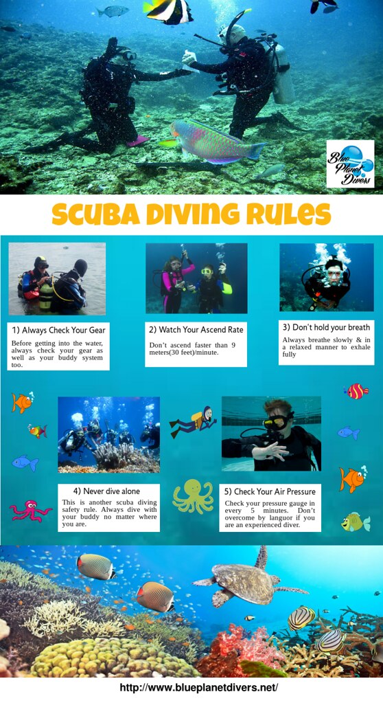 Scuba Diving Rules Being a scuba diver is awesome. Here ar… Flickr