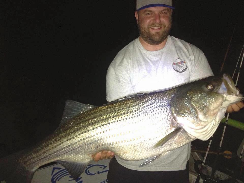 Beaver Lake Striper Fishing Guide Rogers Arkansas. Beaver,… Flickr