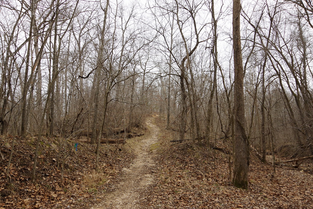 Spring Missouri State Park Colin Janicek Flickr