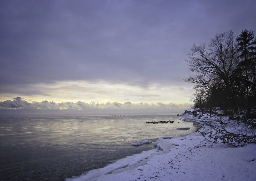 A cold Lake Ontario 2. Winter Lake Ontario from Whitby, … Flickr