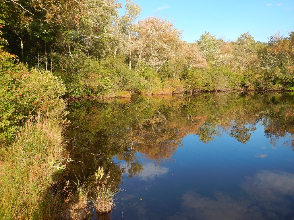 Cemetery Pond Flickr
