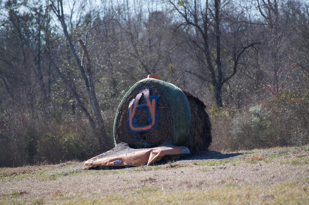 2018 Jan 31 Forkland, Alabama Jim Bird's Hay Bale Art and… Flickr