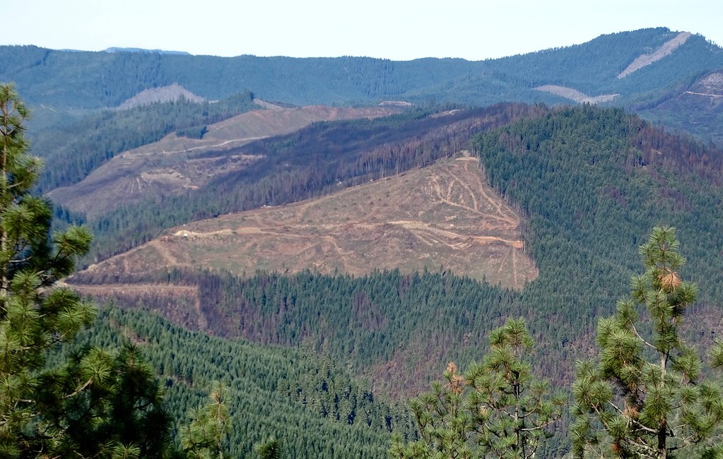 Horse Prairie Fire, west of Riddle Oregon Private Industri… Flickr