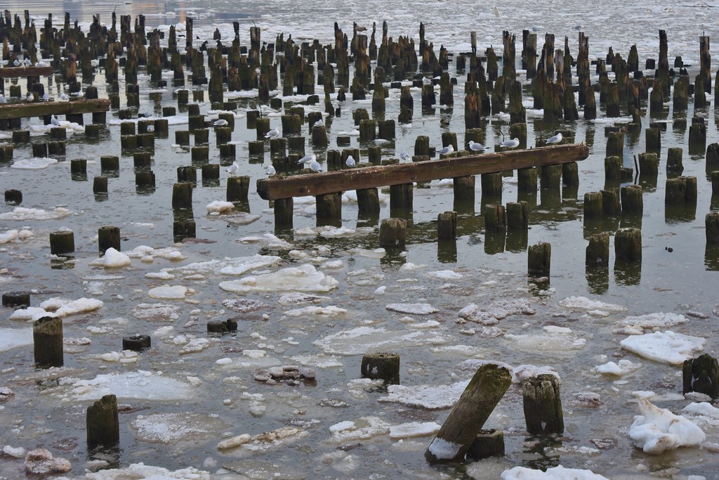 Hudson River Jersey City near Hoboken City Line Jersey C… Flickr