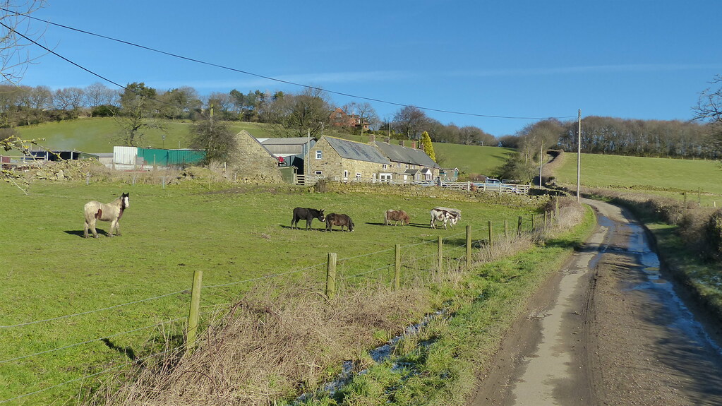 20180207 Wlk frm Wingerworth_0009 Bole Hill Lane & Farm Flickr