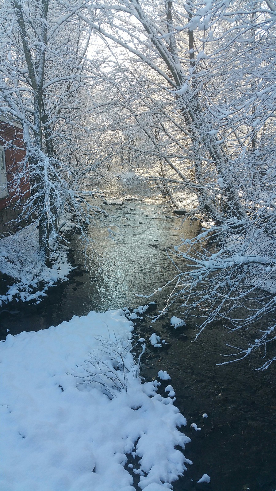 Snowfall 2/18/2018 at Mother Brook Condominiums, Dedham MA Flickr