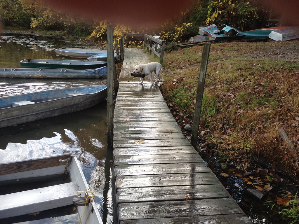 IMG_2629 New York Heartwoods Flickr