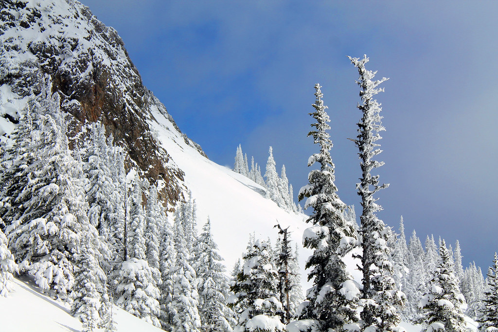 Steeple Rock Olympic National Park Carston Curd Flickr