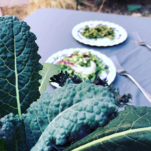 It’s time to plant kale! Get our best tips on 9 News now! … Flickr