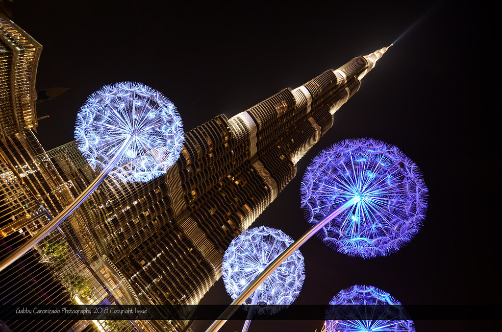"Tower Flower" At the base of Burj Khalifa, 23 February 20… Flickr