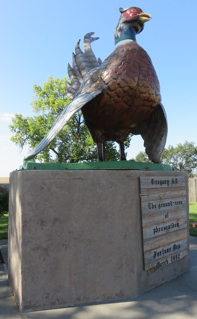 Giant Gregory Pheasant (Gregory, South Dakota) Gregory is … Flickr