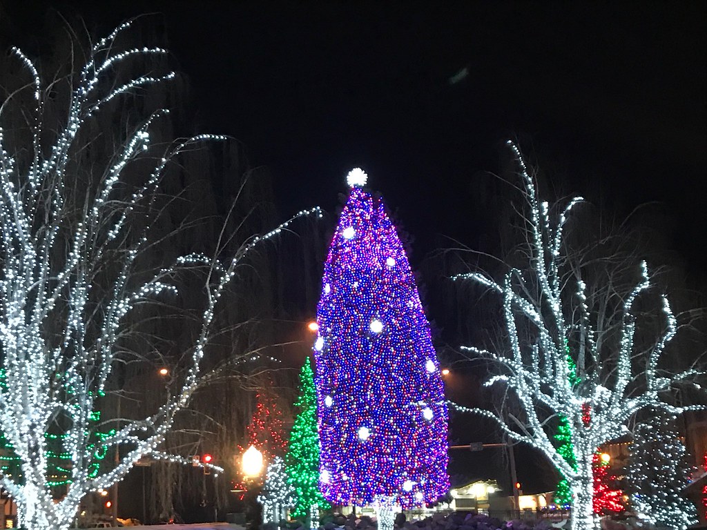 PostChristmas lights Heyayay Flickr