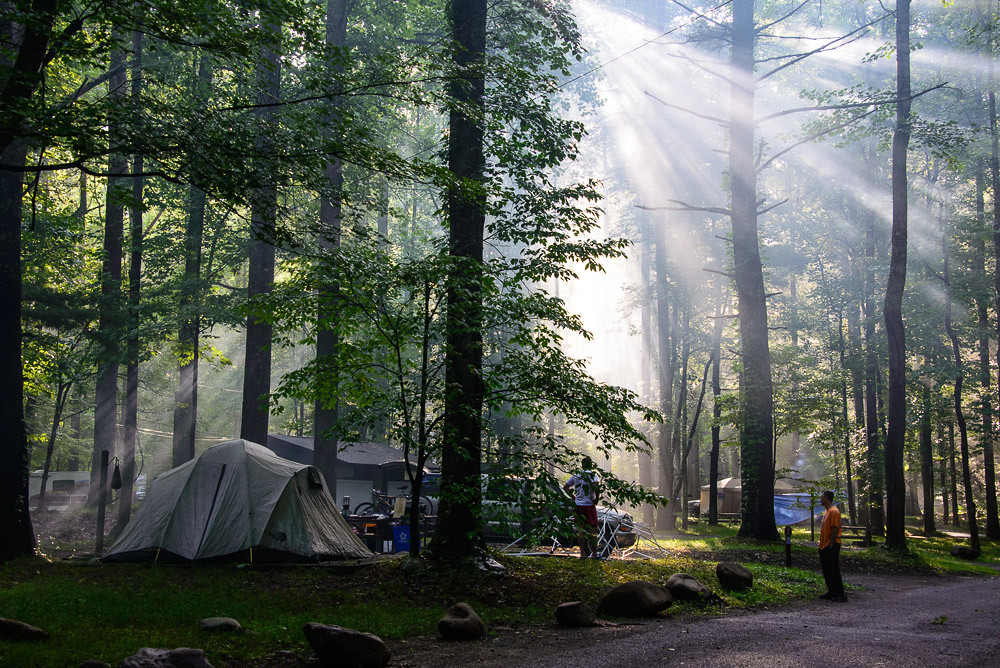 Elkmont CampgroundWarren Bielenberg Great Smoky Mountains National