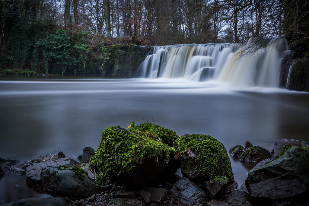 Linn park, Glasgow, Scotland Stuart Allan Flickr