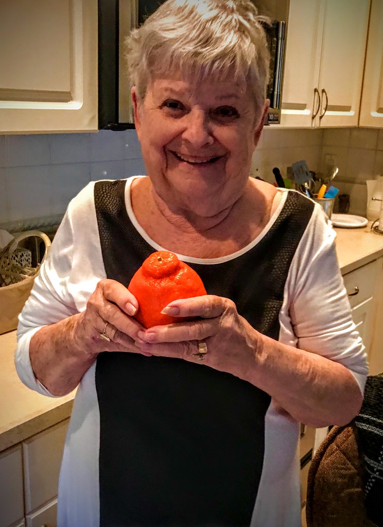 Frannie Holding Mandarin Orange 🍊 This is the last day of… Flickr