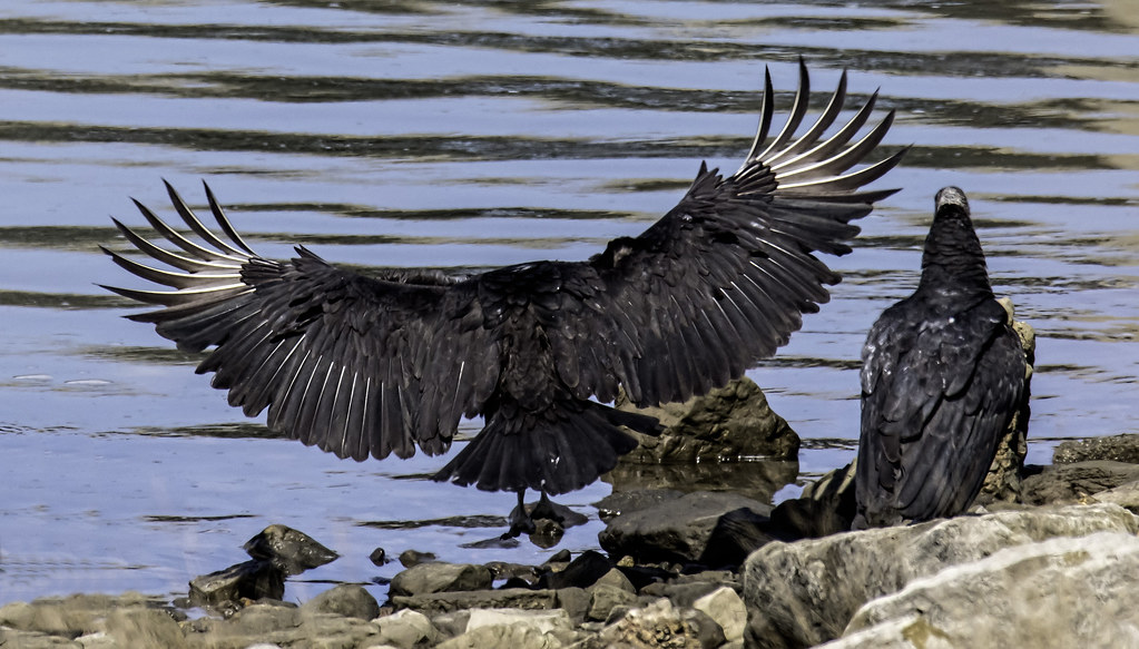 Elevation of Crescent Valley Baptist Church, S Cres Valley Rd, Tahlequah, OK, USA Topographic