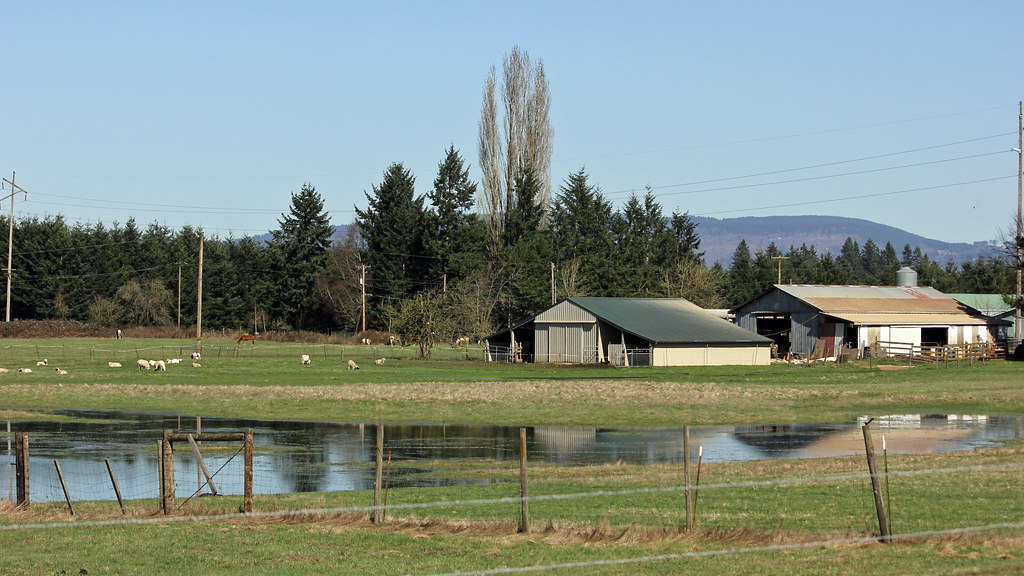 Pastorial Scene near where I live Near Brush Prairie, Wash… Flickr
