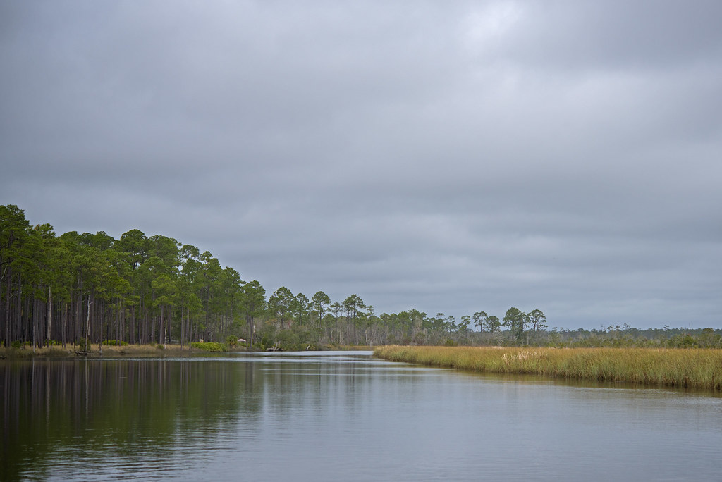 Ochlockonee River FWC photo by Andy Wraithmell Great Florida